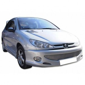 Pare-Choc Avant Peugeot 206 GT a 577,89 € TCP2948 chez CAROU TUNING