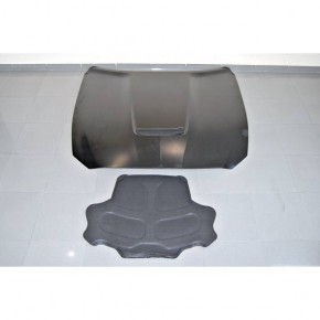 Capot Ford Mustang 2015-2017 look GT350 a 1 179,42 € TCF6218 chez CAROU TUNING